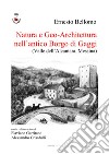 Natura e geo-architettura nell'antico Borgo di Gaggi. (Valle dell'Alcantara, Messina) libro