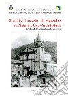 Graniti e il maestro G. Mazzullo tra natura e geo-architettura (Valle dell'Alcantara, Messina) libro