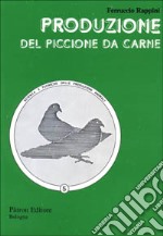 Produzione del piccione da carne