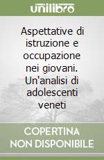 Aspettative di istruzione e occupazione nei giovani. Un'analisi di adolescenti veneti libro