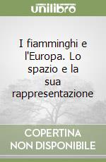 I fiamminghi e l'Europa. Lo spazio e la sua rappresentazione libro