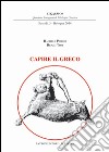 Capire il greco libro