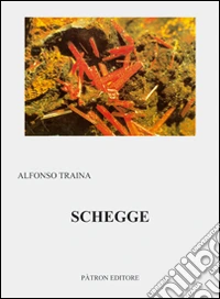 Schegge libro