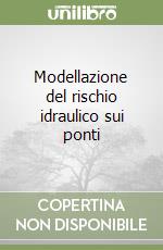 Modellazione del rischio idraulico sui ponti libro