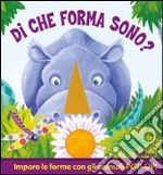 Di che forma sono? Ediz. illustrata libro