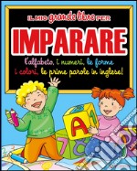 Il mio grande libro per imparare. L'alfabeto, i numeri, le forme, i colori, le prime parole in inglese! libro