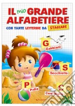 Il grande alfabetiere libro