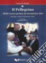 Il pellegrino. Mille errori prima di incontrare Dio. Da Perugia a Lourdes: 1.500 chilometri a piedi libro