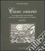 Caro viario. Un viaggio nella vecchia Perugia attraverso le sue mura, porte, vie, piazze libro