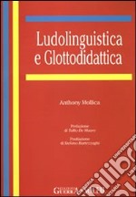 Ludolinguistica e glottodidattica libro