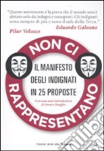 Non ci rappresentano libro