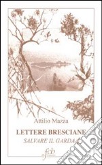 Lettere bresciane. Salvare il Garda. Vol. 4 libro