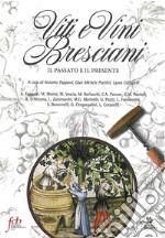 Viti e vini bresciani. Il passato e il presente