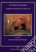 Un tesoro da scoprire. Il castello mediavle di Peschiera s/G. Ediz. illustrata libro