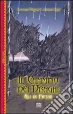 Ali di pietra. Il cammino dei draghi libro