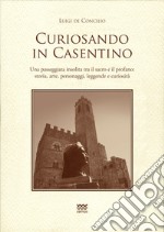 Curiosando in Casentino. Una passeggiata insolita tra il sacro e il profano: storia, arte, personaggi, leggende e curiosità