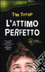 L'attimo perfetto