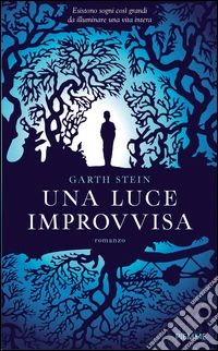 Una luce improvvisa libro