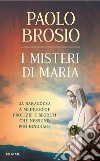 I misteri di Maria. Da Saragozza a Medjugorje profezie e segreti che nessuno può ignorare libro