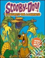 Il segreto del labirinto libro