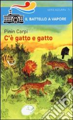 C'è gatto e gatto libro