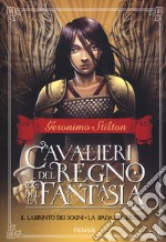 Il labirinto dei sogni-La spada del destino. Cavalieri del Regno della fantasia. Vol. 1 libro