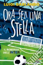 Ora sei una stella. Il romanzo dell'Inter libro