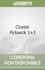 Cluster Pickwick 1+1