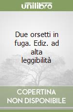 Due orsetti in fuga. Ediz. ad alta leggibilità libro