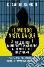 Il mondo visto da qui. Riflessioni di un prete in carcere al tempo delle baby gang libro