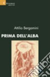 Prima dell'alba libro