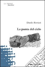 La Punta del cielo libro