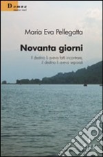 Novanta giorni. Il destino li aveva fatti incontrare, il destino li aveva separati libro