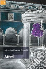 Attimi libro