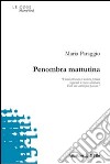 Penombra mattutina libro di Paraggio Maria