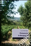 Primavera in Borgogna libro