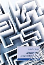 Labyrinthos. Collezione temporanea libro