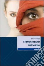 Frammenti del disincanto libro