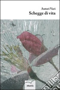 Schegge di vita libro