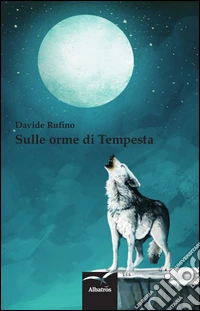 Sulle orme di tempesta
