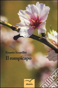 Il rompicapo libro