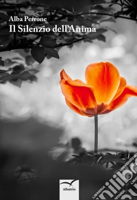 Il silenzio dell'anima