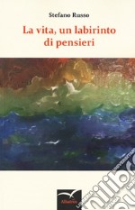 La vita, un labirinto di pensieri libro