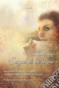 Sogno di un cigno
