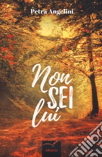 Non sei lui