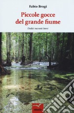 Piccole gocce del grande fiume. Dodici racconti brevi