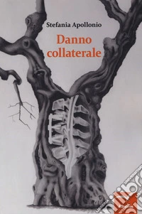 Danno collaterale libro