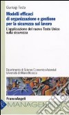 Modelli efficaci di organizzazione e gestione per la sicurezza sul lavoro. L'applicazione del nuovo Testo Unico sulla sicurezza libro