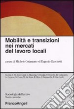 Mobilità e transizioni nei mercati del lavoro locali libro