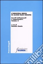 L'industria idrica in alcuni paesi europei. Assetti istituzionali e organizzativi. Vol. 2 libro